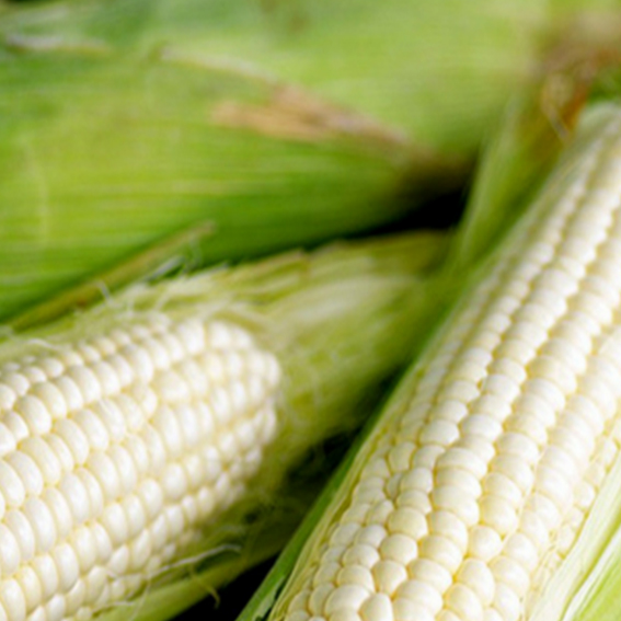 Canadian Organic Standards (COS) corn, European organic standard EC corn, German naturland organic standard EC corn, Korean organic standard corn, Japanese organic standard JAS corn, Biosuisse organic standard Chain Monitor (SCM) corn, Chinese organic standard COFCC corn, National Organic Program (NOP) corn.